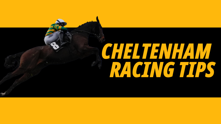 Image for Betfair's Friday racing tips at Cheltenham featuring three bets including one in the Gold Cup 